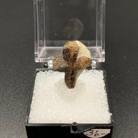 Staurolite #3 Thumbnail Specimen (Kola Peninsula, Russia)