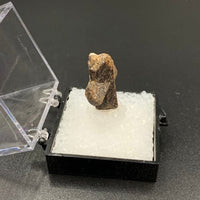 Staurolite #3 Thumbnail Specimen (Kola Peninsula, Russia)