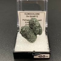 Clinochlore coating Quartz #4 Thumbnail Specimen (Pelingichey Deposit, Russia)