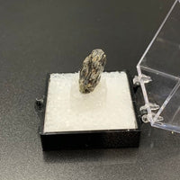 Star Sapphire #5 Black Corundum Thumbnail Specimen (Queensland, Australia)