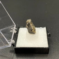 Star Sapphire #5 Black Corundum Thumbnail Specimen (Queensland, Australia)