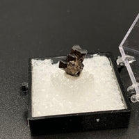 Fluor-buergerite #1 Rare Thumbnail Specimen (Mexquitic de Carmona, Mexico)