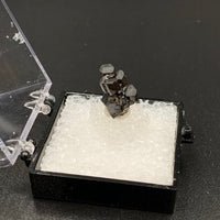 Fluor-buergerite #1 Rare Thumbnail Specimen (Mexquitic de Carmona, Mexico)