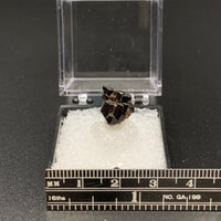 Fluor-buergerite #2 Rare Thumbnail Specimen (Mexquitic de Carmona, Mexico)