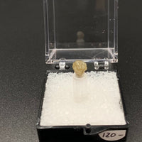 Diamond #1 Rough Thumbnail Specimen (Africa)