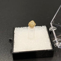 Diamond #1 Rough Thumbnail Specimen (Africa)