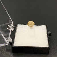 Diamond #1 Rough Thumbnail Specimen (Africa)