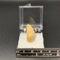 Ethiopian Opal #1 Thumbnail Specimen (South Welo, Ethiopia)