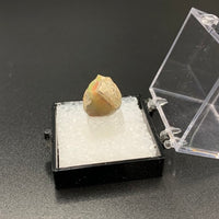 Ethiopian Opal #2 Thumbnail Specimen (South Welo, Ethiopia)