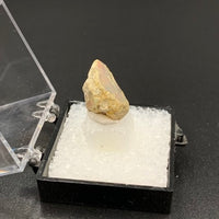 Ethiopian Opal #3 Thumbnail Specimen (South Welo, Ethiopia)