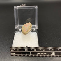 Ethiopian Opal #3 Thumbnail Specimen (South Welo, Ethiopia)