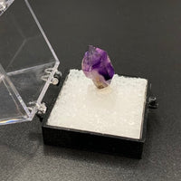 Amethyst #3 Phantom Scepter Thumbnail Specimen (Sorris-Sorris 186, Namibia)