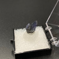 Tanzanite #7 Purple Zoisite Thumbnail Specimen (Merelani Hills, Tanzania)