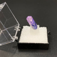 Tanzanite #9 Bicolored Purple Zoisite Thumbnail Specimen (Merelani Hills, Tanzania)