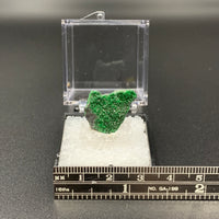 Garnet Uvarovite #2 Thumbnail Specimen (Ural Region, Russia)