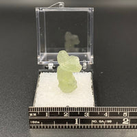 Prehnite #5 Thumbnail Specimen (Merelani Hills, Tanzania)