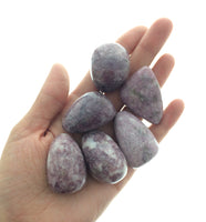 Lepidolite (1) Polished Tumbled Stone China