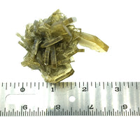 Barite Golden Blades Unpolished Crystal Cluster Mineral Specimen (Morocco)
