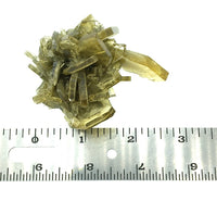 Barite Golden Blades Unpolished Crystal Cluster Mineral Specimen (Morocco)
