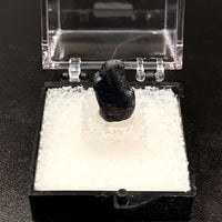 Star Sapphire #1 Black Corundum Thumbnail Specimen (Queensland, Australia)