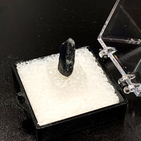 Star Sapphire #1 Black Corundum Thumbnail Specimen (Queensland, Australia)