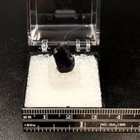 Star Sapphire #1 Black Corundum Thumbnail Specimen (Queensland, Australia)