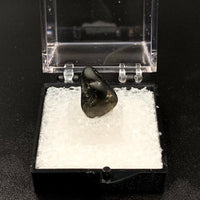 Star Sapphire #3 Black Corundum Thumbnail Specimen (Queensland, Australia)
