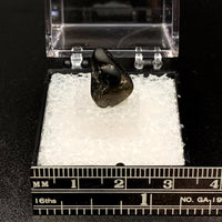 Star Sapphire #3 Black Corundum Thumbnail Specimen (Queensland, Australia)