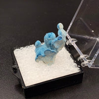 Shattuckite #5 Thumbnail Specimen (Kaokoveld Plateau, Namibia)