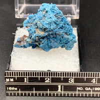 Shattuckite #7 Thumbnail Specimen (Kaokoveld Plateau, Namibia)