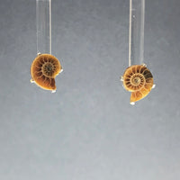 Ammonite Mini Natural Fossil Slice Sterling Silver Stud Earrings
