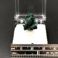 Malachite #3 Thumbnail Specimen (Kerrouchene, Morocco)