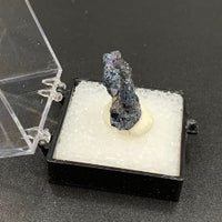 Covellite #3 Thumbnail Specimen (Butte District, Montana, USA)