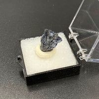 Covellite #3 Thumbnail Specimen (Butte District, Montana, USA)