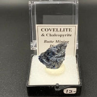 Covellite #3 Thumbnail Specimen (Butte District, Montana, USA)