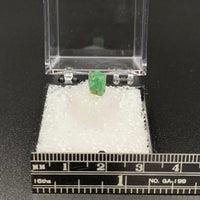 Emerald #7 Green Beryl Thumbnail Specimen (Chivor Mine, Boyaca Dept., Colombia)
