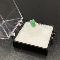 Emerald #7 Green Beryl Thumbnail Specimen (Chivor Mine, Boyaca Dept., Colombia)