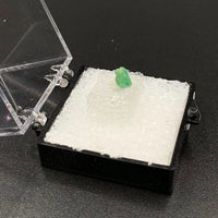 Emerald #5 Green Beryl Thumbnail Specimen (Chivor Mine, Boyaca Dept., Colombia)