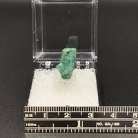 Emerald #3 Green Beryl Thumbnail Specimen (Boyaca Dept., Colombia)