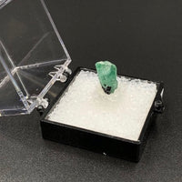 Emerald #1 Green Beryl Thumbnail Specimen (Boyaca Dept., Colombia)