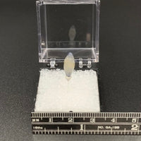 Sapphire #11 Corundum Thumbnail Specimen (Ratnapura, Sri Lanka)