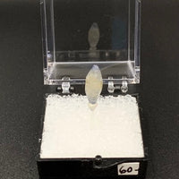 Sapphire #11 Corundum Thumbnail Specimen (Ratnapura, Sri Lanka)