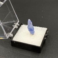 Sapphire #5 Corundum Thumbnail Specimen (Ratnapura, Sri Lanka)