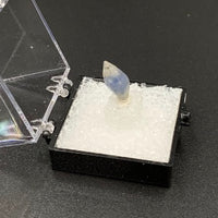 Sapphire #4 Corundum Thumbnail Specimen (Ratnapura, Sri Lanka)