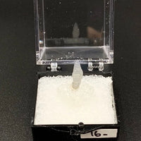 Sapphire #3 Corundum Thumbnail Specimen (Ratnapura, Sri Lanka)