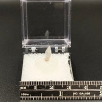 Sapphire #2 Corundum Thumbnail Specimen (Ratnapura, Sri Lanka)