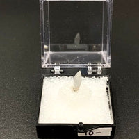 Sapphire #2 Corundum Thumbnail Specimen (Ratnapura, Sri Lanka)