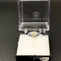 Sapphire #1 Corundum Thumbnail Specimen (Ratnapura, Sri Lanka)