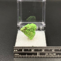 Gaspeite #4 Rare Thumbnail Specimen (Mt. Edwards Mine, Western Australia)