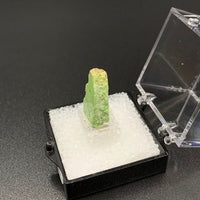 Gaspeite #1 Rare Thumbnail Specimen (Mt. Edwards Mine, Western Australia)